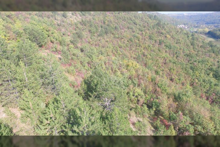 Poljoprivredno zemljište, Prodaja, Cerovlje, Draguć Poljoprivredno zemljište, Prodaja, Cerovlje, Draguć