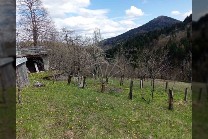 Samostojeća kuća, Prodaja, Ravna gora, Ravna Gora