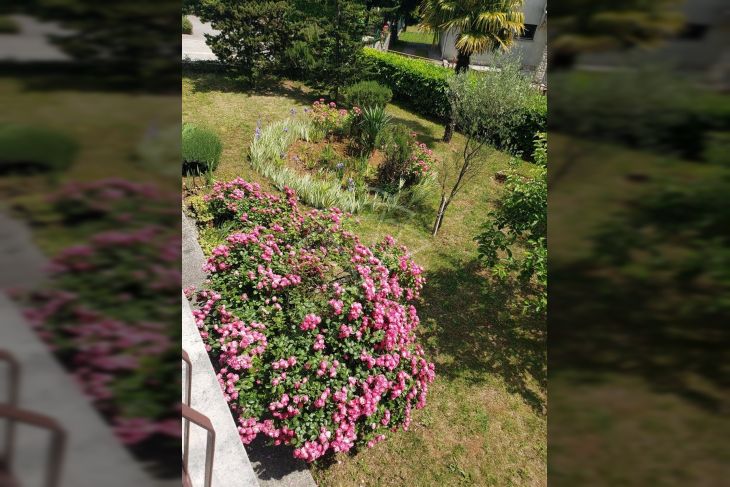 Stan u kući, Prodaja, Opatija - Okolica, Pobri Stan u kući, Prodaja, Opatija - Okolica, Pobri