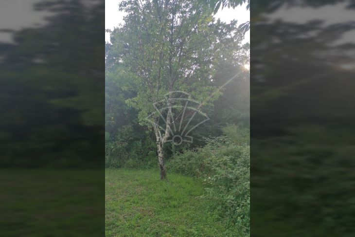 Građevinsko zemljište, Prodaja, Kastav, Brnčići