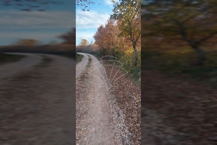 Građevinsko zemljište, Prodaja, Višnjan, Žikovići Građevinsko zemljište, Prodaja, Višnjan, Žikovići