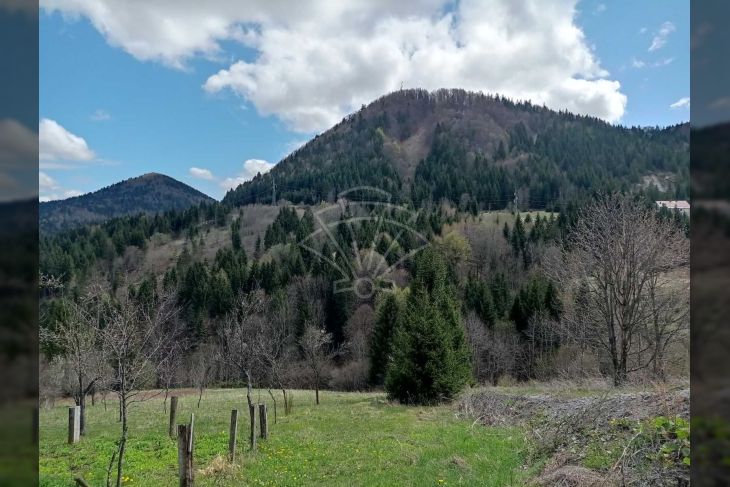 Samostojeća kuća, Prodaja, Ravna gora, Ravna Gora Samostojeća kuća, Prodaja, Ravna gora, Ravna Gora