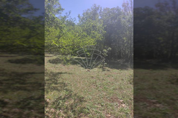 Poljoprivredno zemljište, Prodaja, Vodnjan, Vodnjan Poljoprivredno zemljište, Prodaja, Vodnjan, Vodnjan