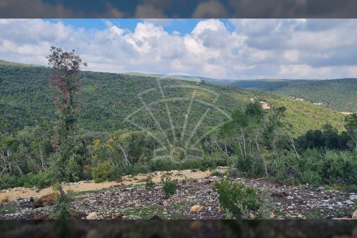 Poljoprivredno zemljište, Prodaja, Marčana, Krnica Poljoprivredno zemljište, Prodaja, Marčana, Krnica