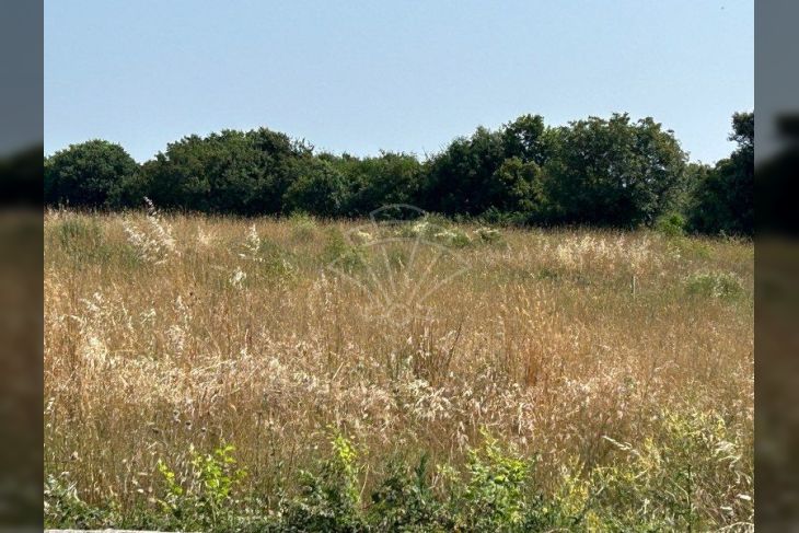 Poljoprivredno zemljište, Prodaja, Ližnjan, Šišan