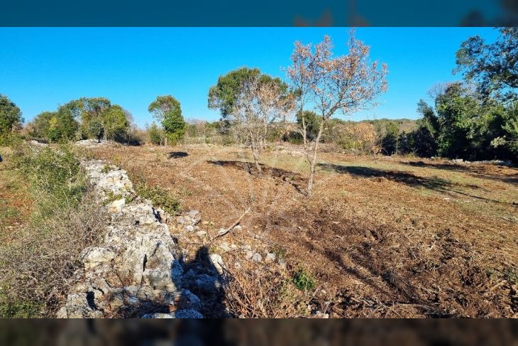 Poljoprivredno zemljište, Prodaja, Marčana, Kavran Poljoprivredno zemljište, Prodaja, Marčana, Kavran