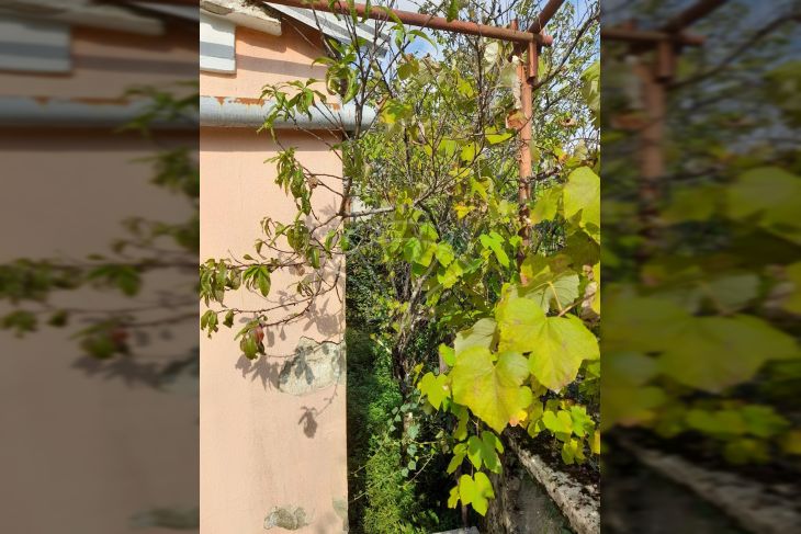 Obiteljska kuća, Prodaja, Matulji, Veli Brgud Obiteljska kuća, Prodaja, Matulji, Veli Brgud