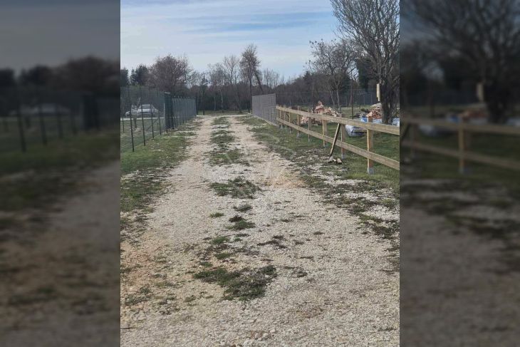 Poljoprivredno zemljište, Prodaja, Ližnjan, Šišan