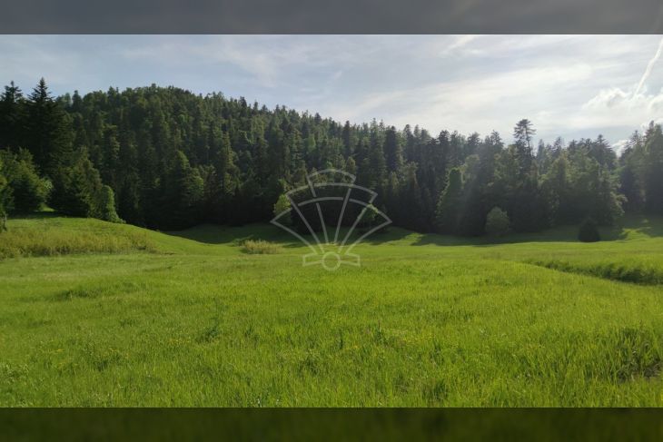 Poljoprivredno zemljište, Prodaja, Fužine, Fužine