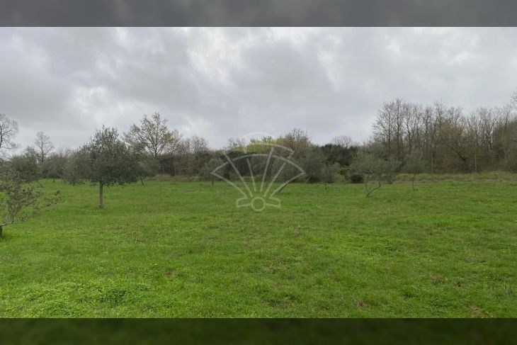 Poljoprivredno zemljište, Prodaja, Kanfanar, Jural
