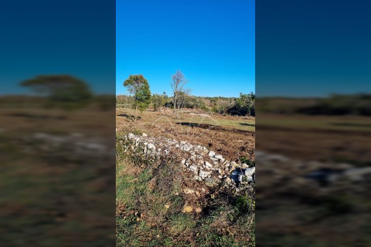 Poljoprivredno zemljište, Prodaja, Marčana, Kavran Poljoprivredno zemljište, Prodaja, Marčana, Kavran