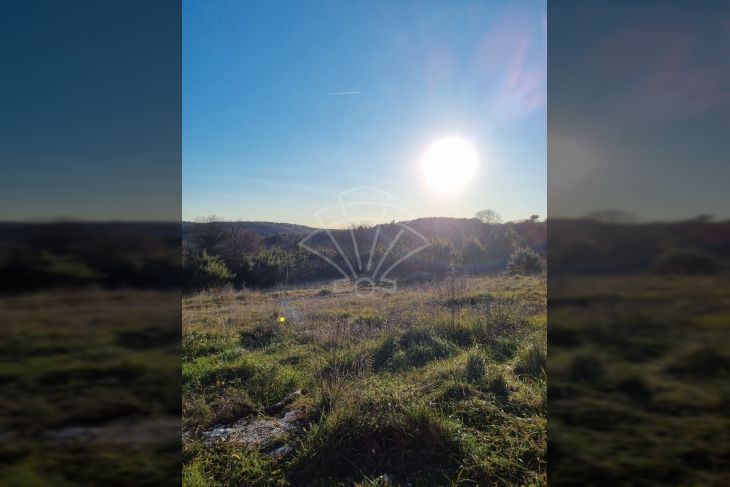 Građevinsko zemljište, Prodaja, Barban, Puntera Građevinsko zemljište, Prodaja, Barban, Puntera