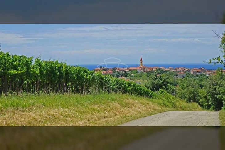 Građevinsko zemljište, Prodaja, Brtonigla, Brtonigla Građevinsko zemljište, Prodaja, Brtonigla, Brtonigla