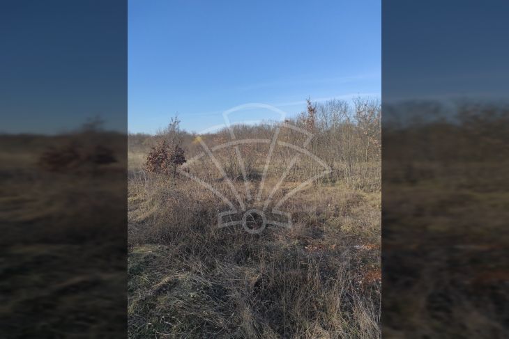 Građevinsko zemljište, Prodaja, Barban, Barban Građevinsko zemljište, Prodaja, Barban, Barban