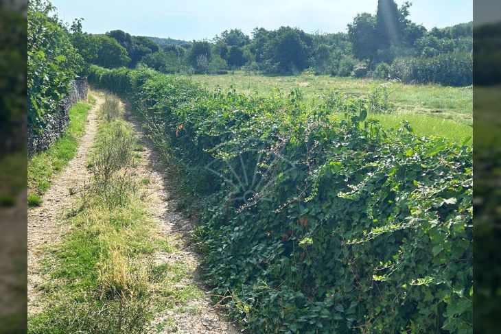Građevinsko zemljište, Prodaja, Marčana, Kavran
