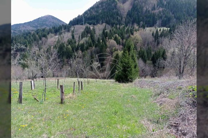 Samostojeća kuća, Prodaja, Ravna gora, Ravna Gora Samostojeća kuća, Prodaja, Ravna gora, Ravna Gora