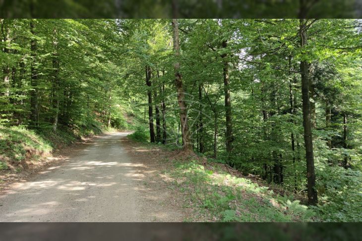 Poljoprivredno zemljište, Prodaja, Fužine, Fužine Poljoprivredno zemljište, Prodaja, Fužine, Fužine