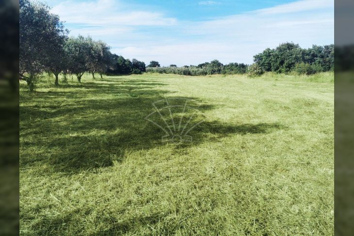 Poljoprivredno zemljište, Prodaja, Marčana, Peruški