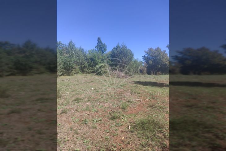 Poljoprivredno zemljište, Prodaja, Vodnjan, Vodnjan Poljoprivredno zemljište, Prodaja, Vodnjan, Vodnjan