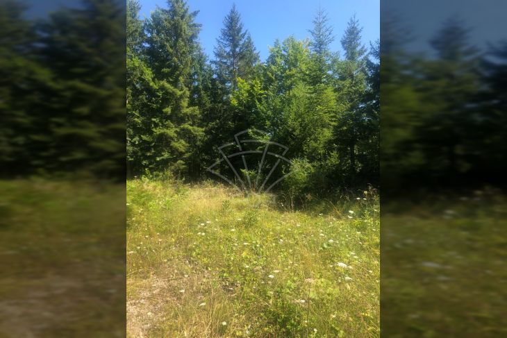 Građevinsko zemljište, Prodaja, Čabar, Tršće