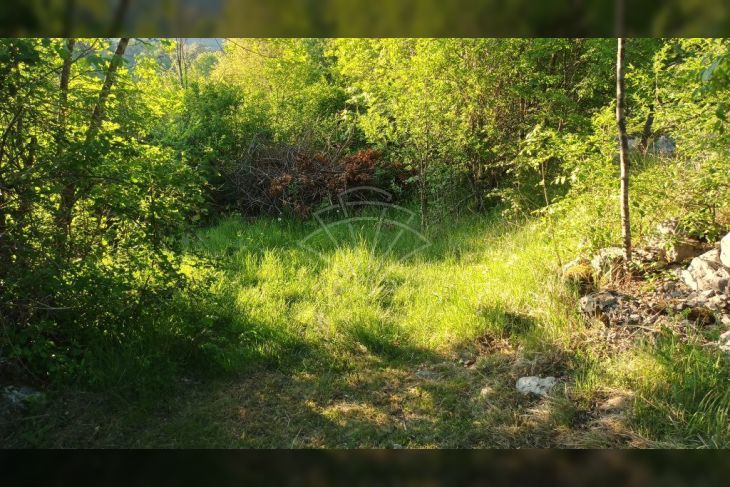 Poljoprivredno zemljište, Prodaja, Matulji, Šapjane Poljoprivredno zemljište, Prodaja, Matulji, Šapjane