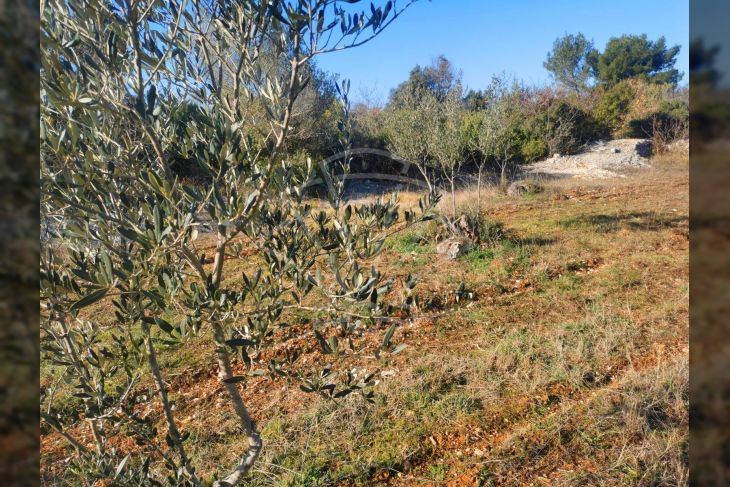 Poljoprivredno zemljište, Prodaja, Fažana, Fažana Poljoprivredno zemljište, Prodaja, Fažana, Fažana