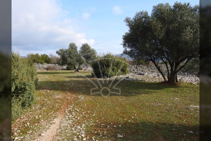 Poljoprivredno zemljište, Prodaja, Krk, Krk Poljoprivredno zemljište, Prodaja, Krk, Krk