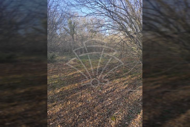 Poljoprivredno zemljište, Prodaja, Barban, Hrboki Poljoprivredno zemljište, Prodaja, Barban, Hrboki