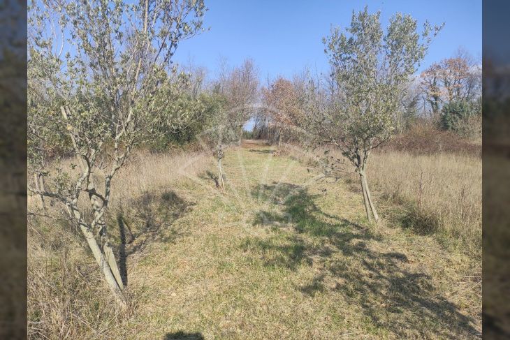 Otok, Prodaja, Marčana, Krnica Otok, Prodaja, Marčana, Krnica