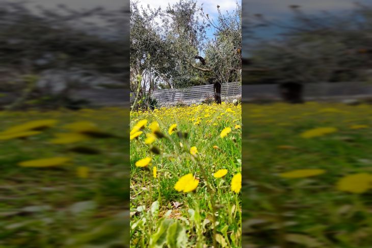 Samostojeća kuća, Prodaja, Crikvenica, Dramalj Samostojeća kuća, Prodaja, Crikvenica, Dramalj