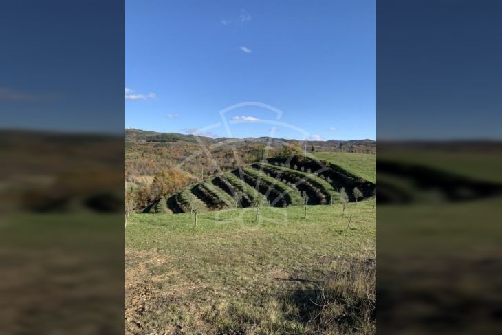 Poljoprivredno zemljište, Prodaja, Pazin - Okolica, Grdoselo Poljoprivredno zemljište, Prodaja, Pazin - Okolica, Grdoselo