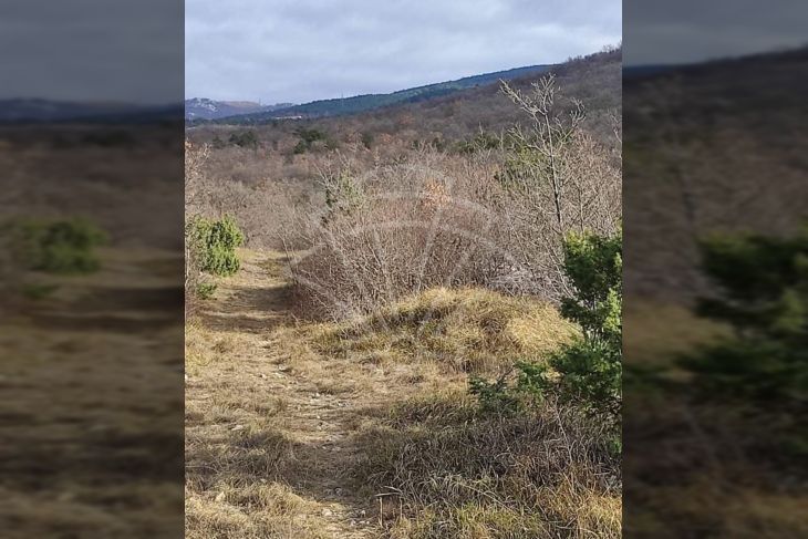 Poljoprivredno zemljište, Prodaja, Kraljevica, Šmrika Poljoprivredno zemljište, Prodaja, Kraljevica, Šmrika