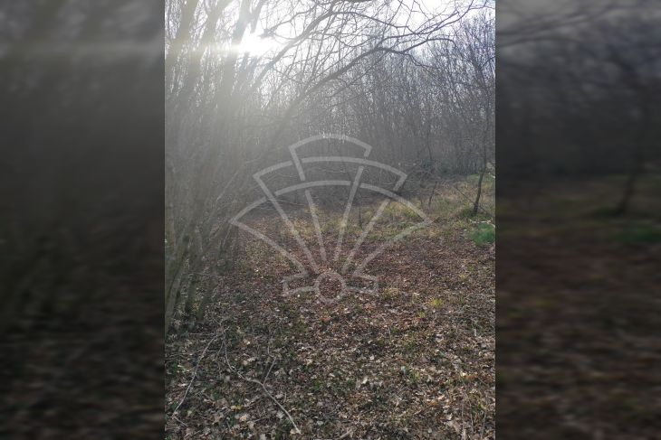 Poljoprivredno zemljište, Prodaja, Barban, Hrboki Poljoprivredno zemljište, Prodaja, Barban, Hrboki