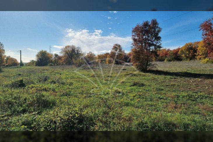 Poljoprivredno zemljište, Prodaja, Barban, Barban Poljoprivredno zemljište, Prodaja, Barban, Barban