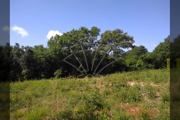 Građevinsko zemljište, Prodaja, Ližnjan, Valtura Građevinsko zemljište, Prodaja, Ližnjan, Valtura