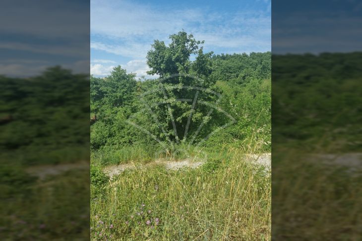 Građevinsko zemljište, Prodaja, Svetvinčenat, Režanci Građevinsko zemljište, Prodaja, Svetvinčenat, Režanci