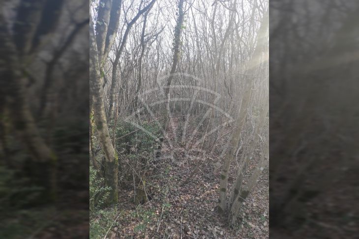 Poljoprivredno zemljište, Prodaja, Barban, Hrboki Poljoprivredno zemljište, Prodaja, Barban, Hrboki