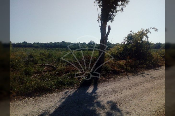Poljoprivredno zemljište, Prodaja, Marčana, Loborika Poljoprivredno zemljište, Prodaja, Marčana, Loborika