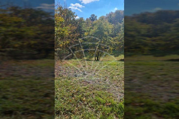 Građevinsko zemljište, Prodaja, Svetvinčenat, Režanci Građevinsko zemljište, Prodaja, Svetvinčenat, Režanci