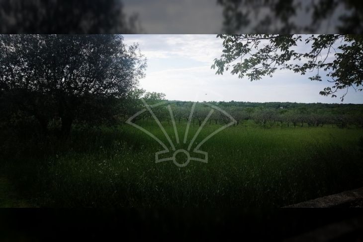 Građevinsko zemljište, Prodaja, Poreč, Poreč Građevinsko zemljište, Prodaja, Poreč, Poreč
