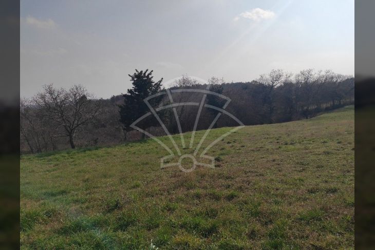 Građevinsko zemljište, Prodaja, Barban, Puntera Građevinsko zemljište, Prodaja, Barban, Puntera