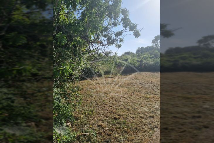 Građevinsko zemljište, Prodaja, Barban, Rebići Građevinsko zemljište, Prodaja, Barban, Rebići