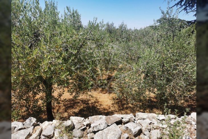 Samostojeća kuća, Prodaja, Vodnjan, Peroj Samostojeća kuća, Prodaja, Vodnjan, Peroj