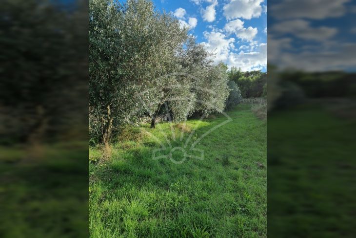Građevinsko mješovito, Prodaja, Ližnjan, Ližnjan Građevinsko mješovito, Prodaja, Ližnjan, Ližnjan