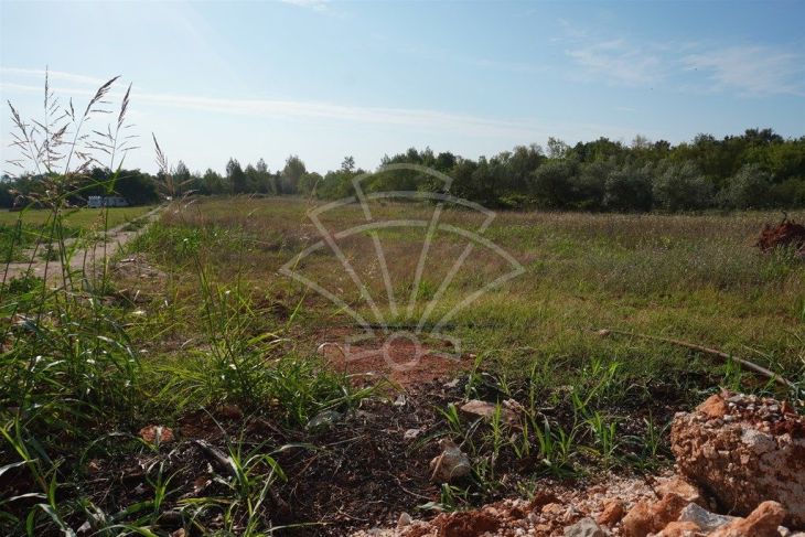 Poljoprivredno zemljište, Prodaja, Ližnjan, Šišan Poljoprivredno zemljište, Prodaja, Ližnjan, Šišan