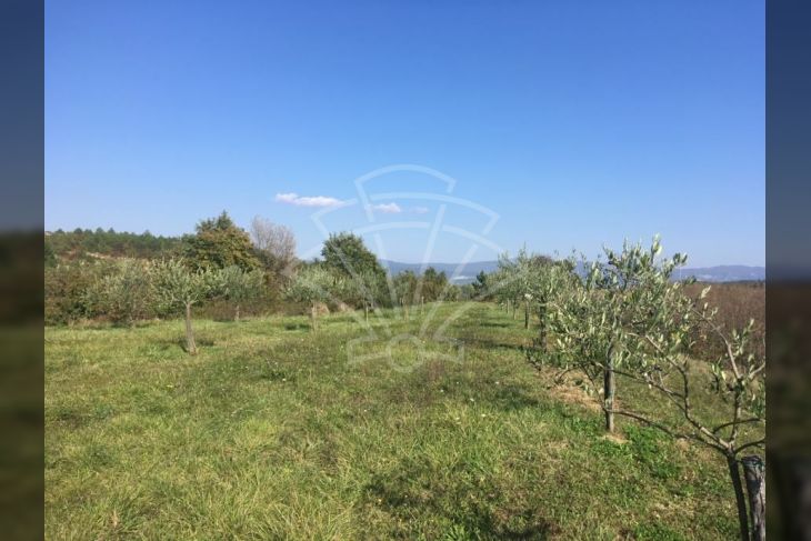 Poljoprivredno zemljište, Prodaja, Cerovlje, Previž Poljoprivredno zemljište, Prodaja, Cerovlje, Previž