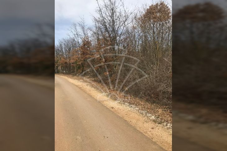 Građevinsko zemljište, Prodaja, Sveti Petar u šumi, Sveti Petar u Šumi Građevinsko zemljište, Prodaja, Sveti Petar u šumi, Sveti Petar u Šumi