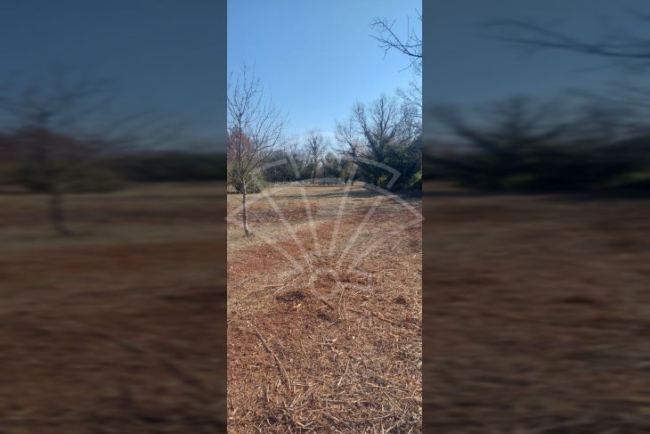 Poljoprivredno zemljište, Prodaja, Vodnjan, Vodnjan Poljoprivredno zemljište, Prodaja, Vodnjan, Vodnjan