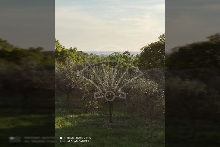 Poljoprivredno zemljište, Prodaja, Rovinj, Rovinjsko Selo Poljoprivredno zemljište, Prodaja, Rovinj, Rovinjsko Selo