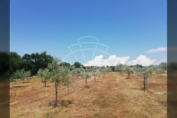 Zemljište - ostalo, Prodaja, Rovinj, Rovinjsko Selo Zemljište - ostalo, Prodaja, Rovinj, Rovinjsko Selo